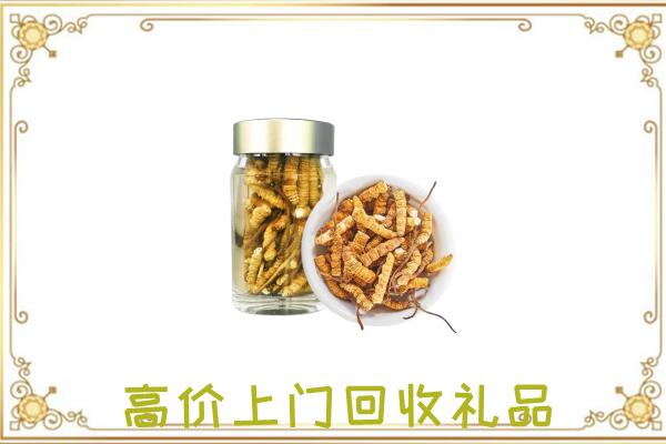 天元区周边回收虫草